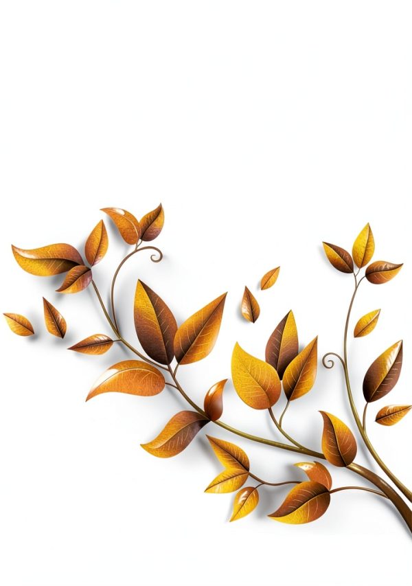 Family Tree Heritage Software by Individual Software-0